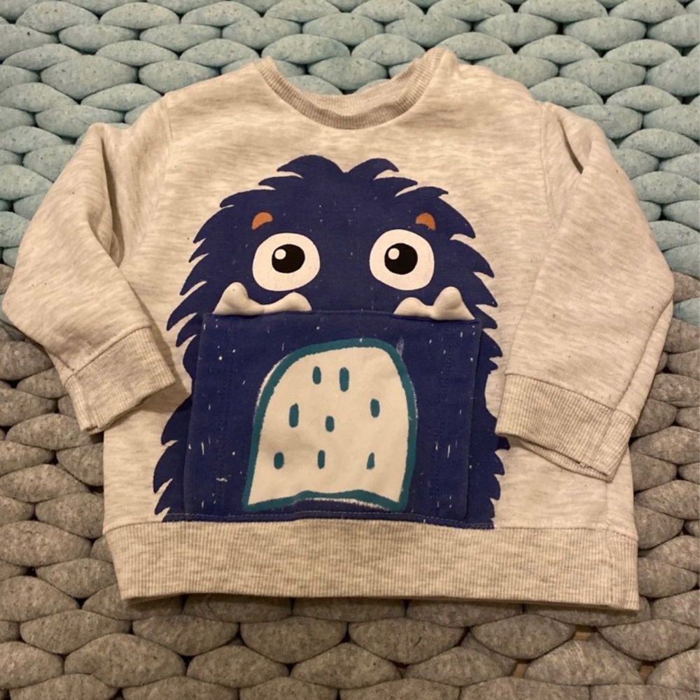 Zara Baby Boy Monster Sweatshirt